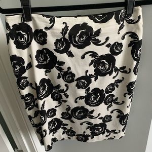 Pencil Skirt